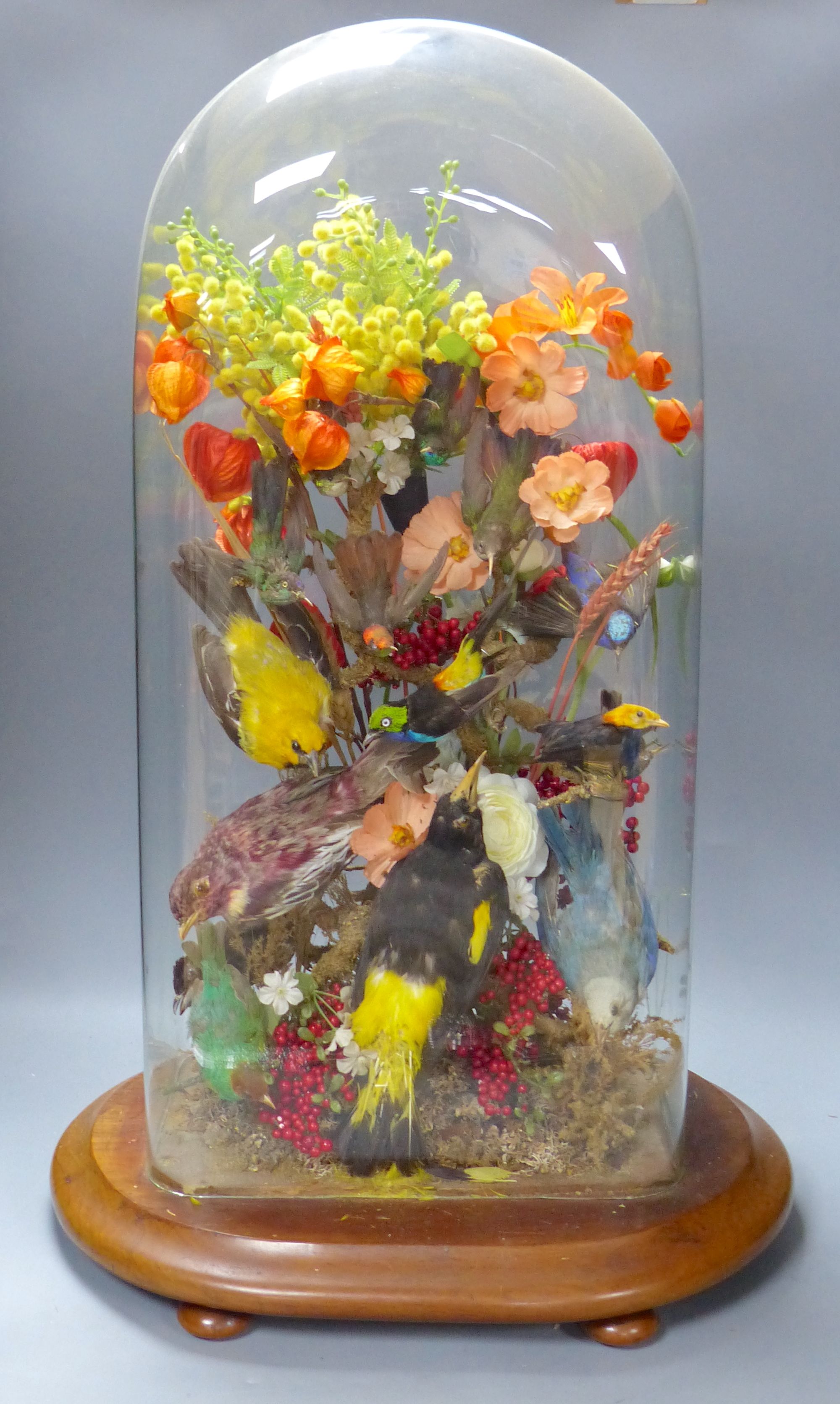 A Victorian still life display of taxidermic canaries, flowers and leaves